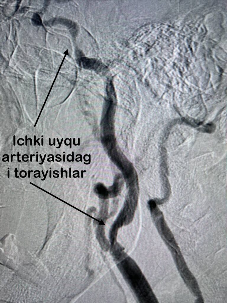 photo_2023-10-09_16-13-21