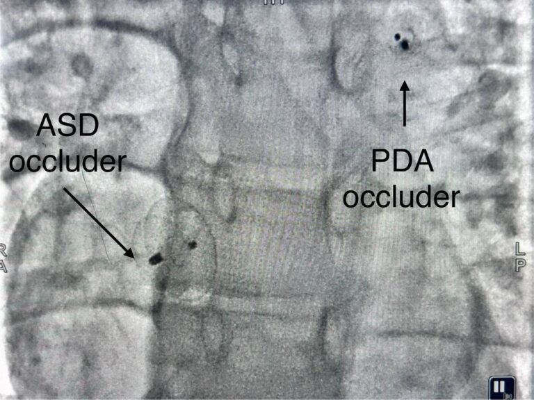 photo_2023-10-09_16-55-20