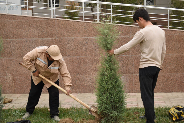 photo_2023-11-18_16-59-13