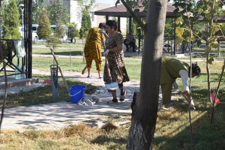 photo_2024-08-27_17-15-23