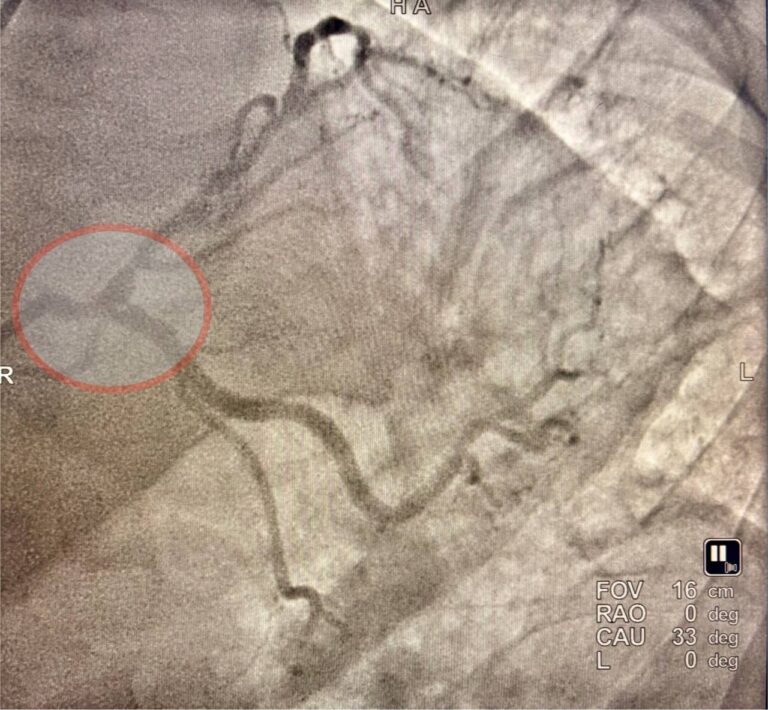 photo_2025-07-19_15-42-53