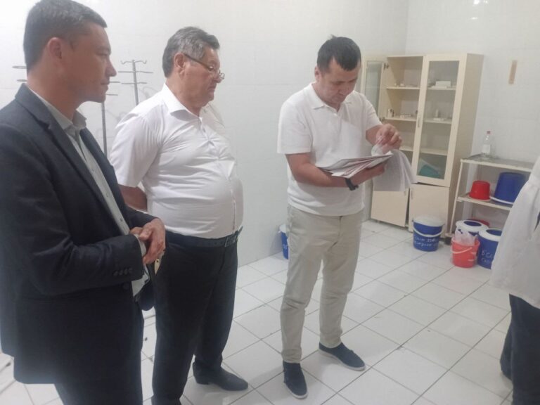 photo_2025-11-10_13-45-41